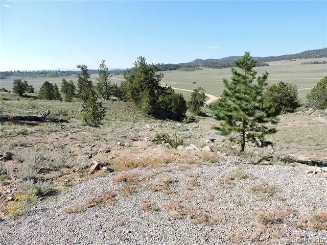 640 Arapaho Trail Hartsel, CO 80449