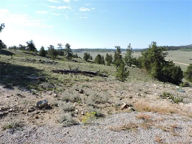 640 Arapaho Trail Hartsel, CO 80449
