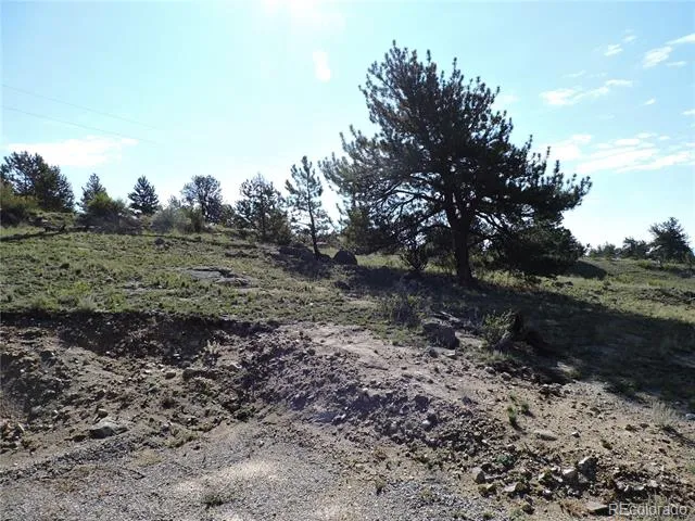 640 Arapaho Trail Hartsel, CO 80449