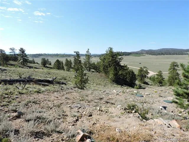 640 Arapaho Trail Hartsel, CO 80449