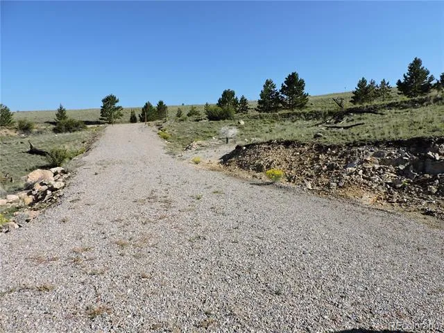 640 Arapaho Trail Hartsel, CO 80449