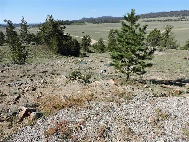 640 Arapaho Trail Hartsel, CO 80449