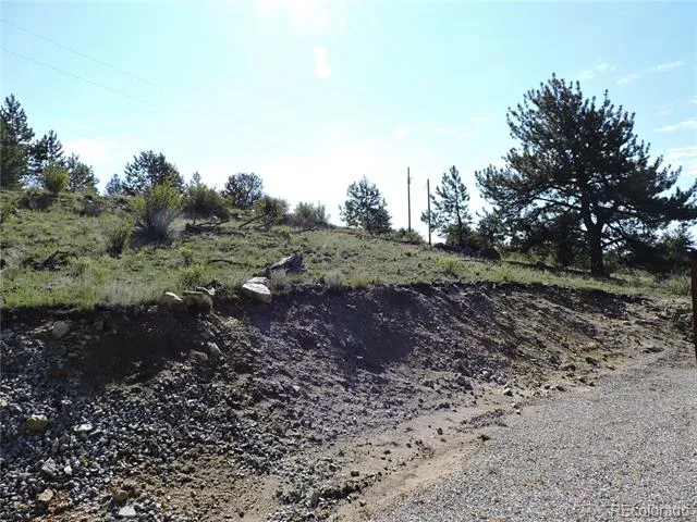 640 Arapaho Trail Hartsel, CO 80449