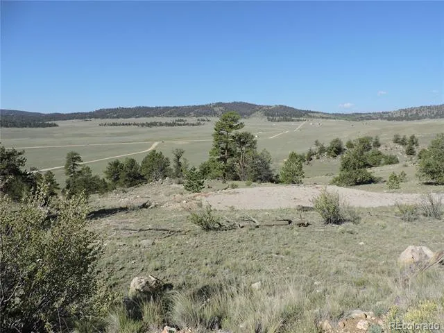 640 Arapaho Trail Hartsel, CO 80449