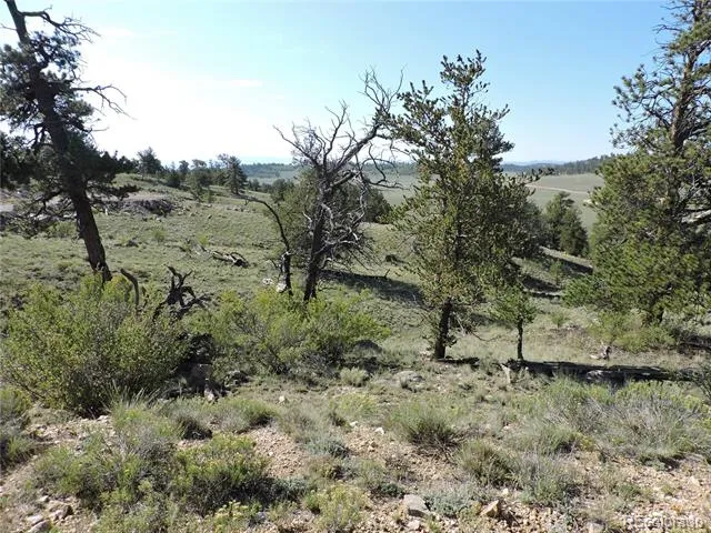 640 Arapaho Trail Hartsel, CO 80449