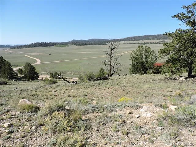 640 Arapaho Trail Hartsel, CO 80449
