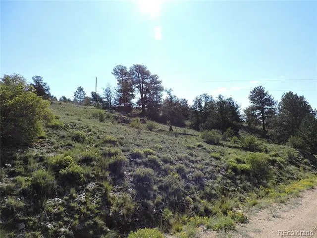 640 Arapaho Trail Hartsel, CO 80449