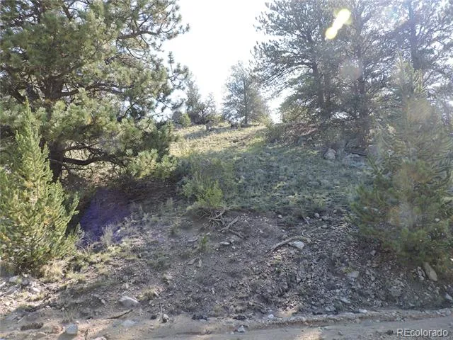 640 Arapaho Trail Hartsel, CO 80449
