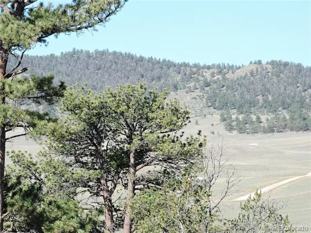 640 Arapaho Trail Hartsel, CO 80449