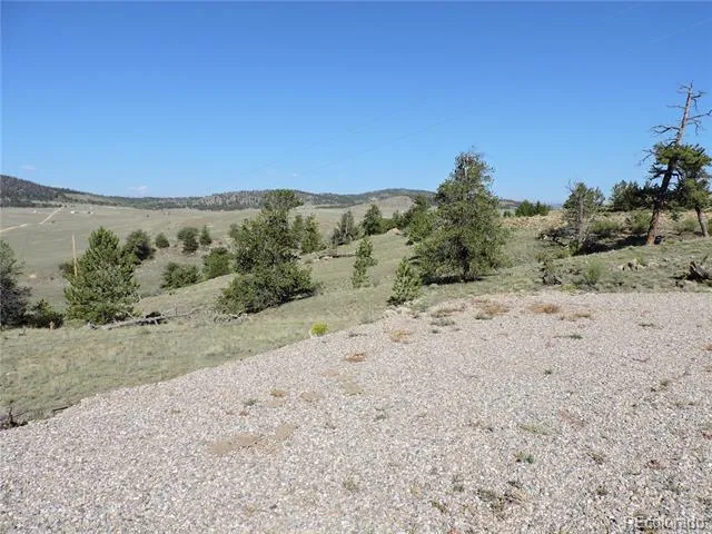 640 Arapaho Trail Hartsel, CO 80449