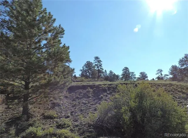 640 Arapaho Trail Hartsel, CO 80449