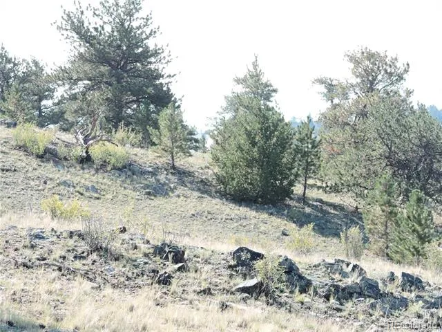 640 Arapaho Trail Hartsel, CO 80449