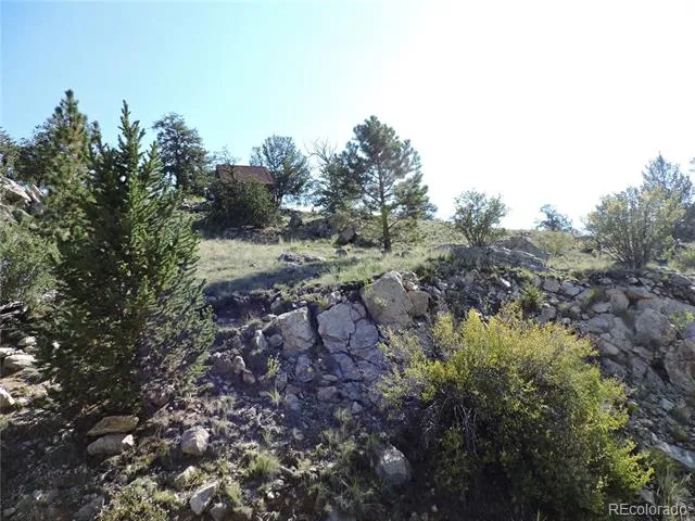 640 Arapaho Trail Hartsel, CO 80449