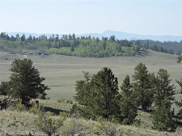 640 Arapaho Trail Hartsel, CO 80449