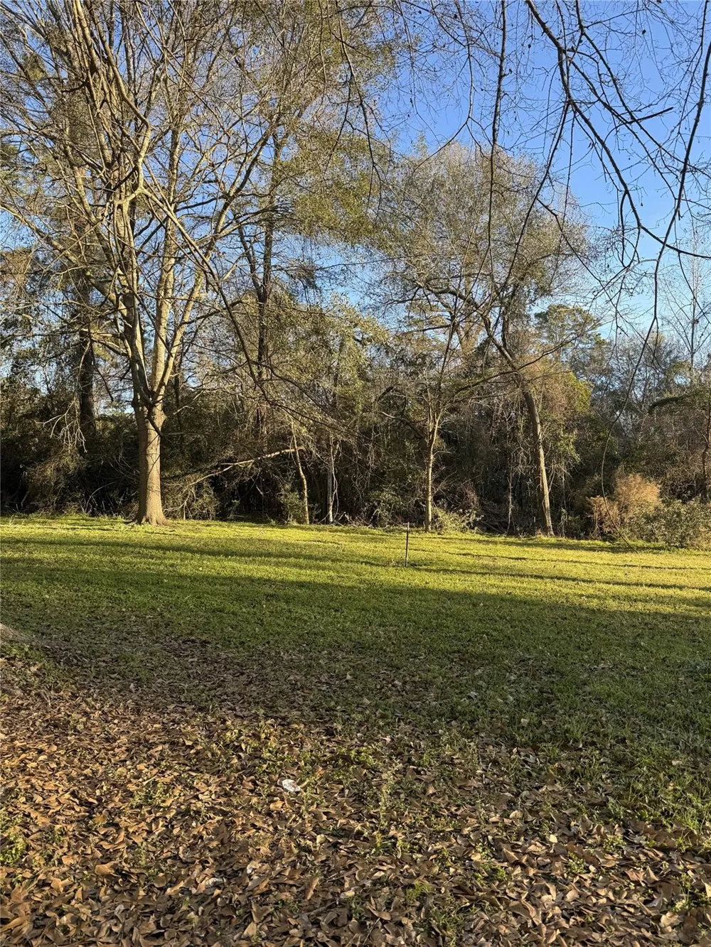 705 Smokey River Bend Conroe, TX 77316