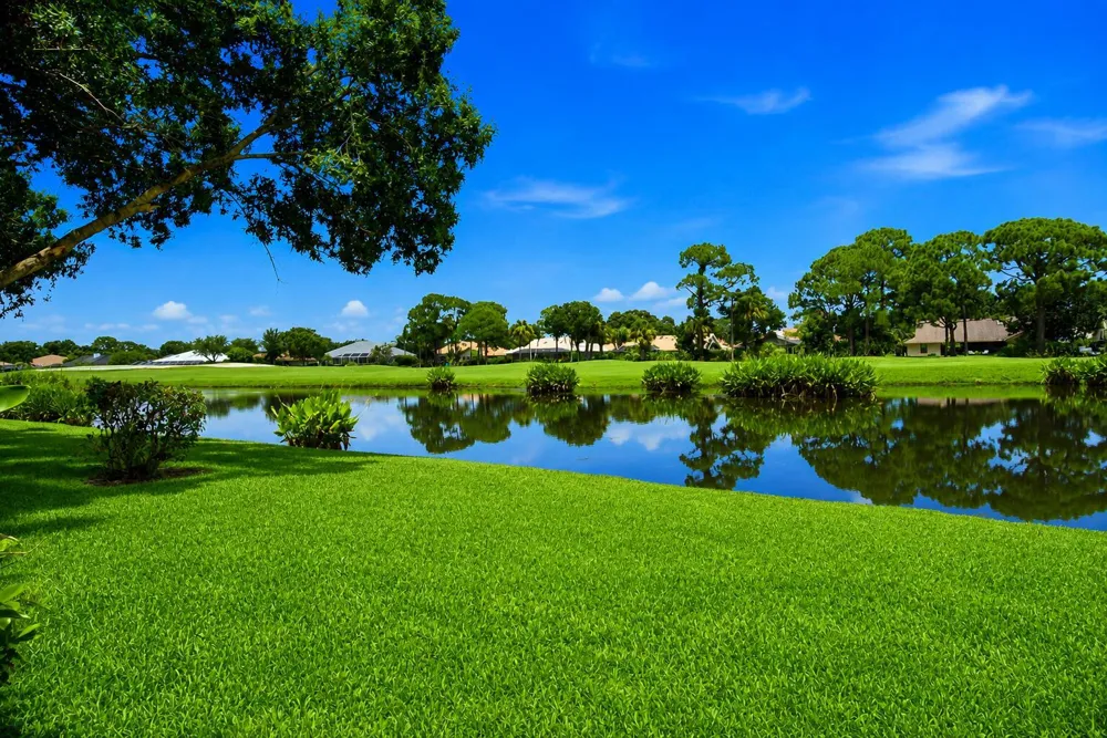 1157 SW Mirror Lake Cove Port St. Lucie, FL 34986
