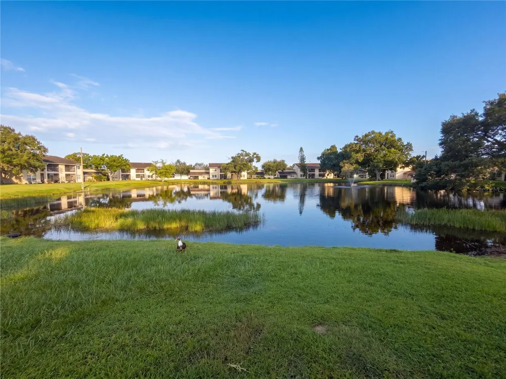 6301 58TH STREET #302 Pinellas Park, FL 33781