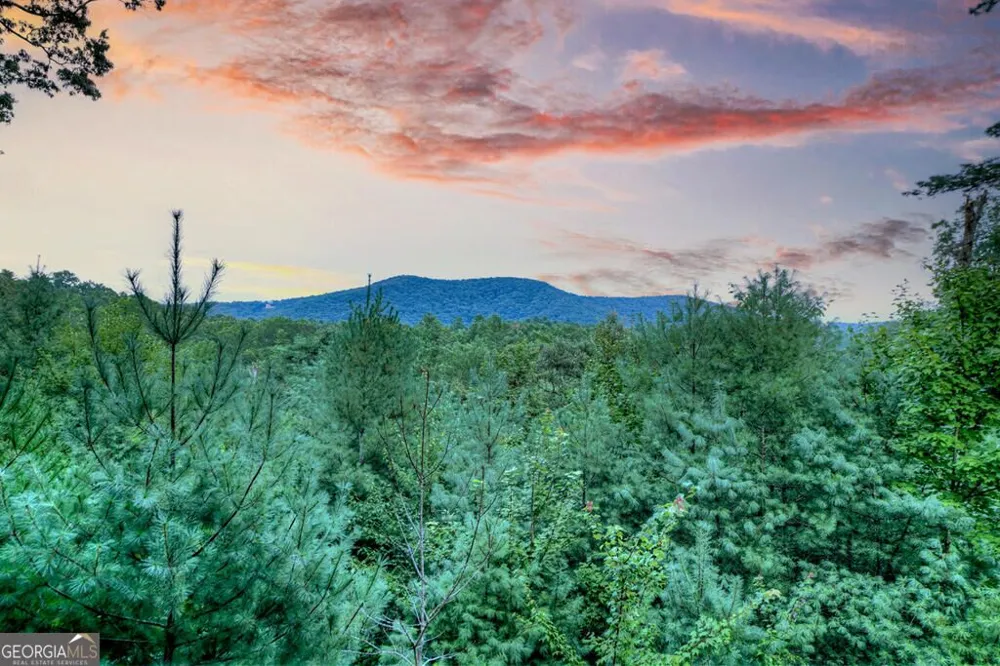 149 Watersong BLF Ellijay, GA 30540