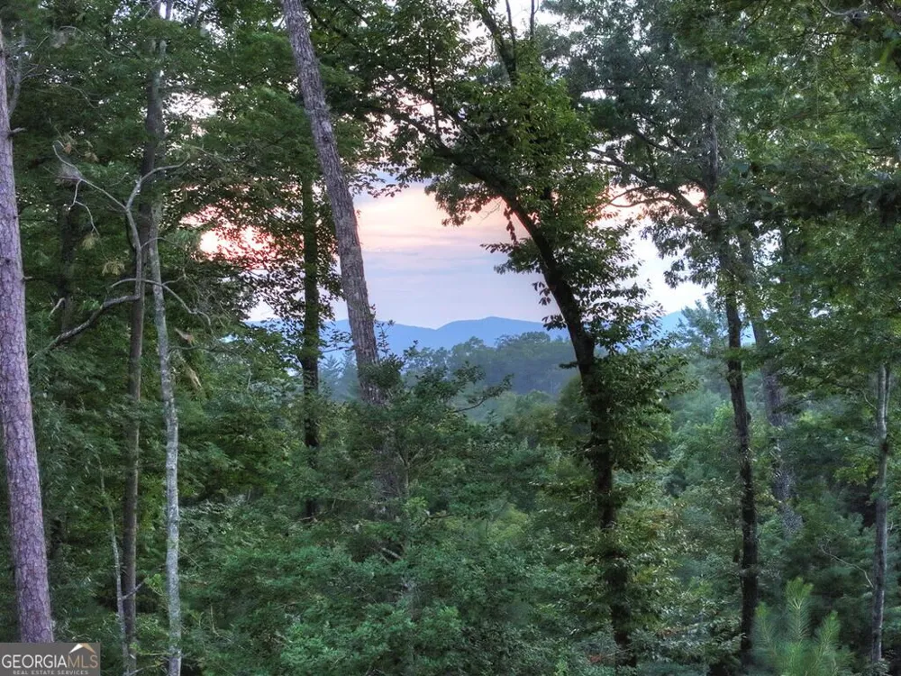 149 Watersong BLF Ellijay, GA 30540