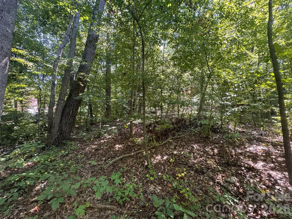 3924 Deer Run Drive NE Conover, NC 28613