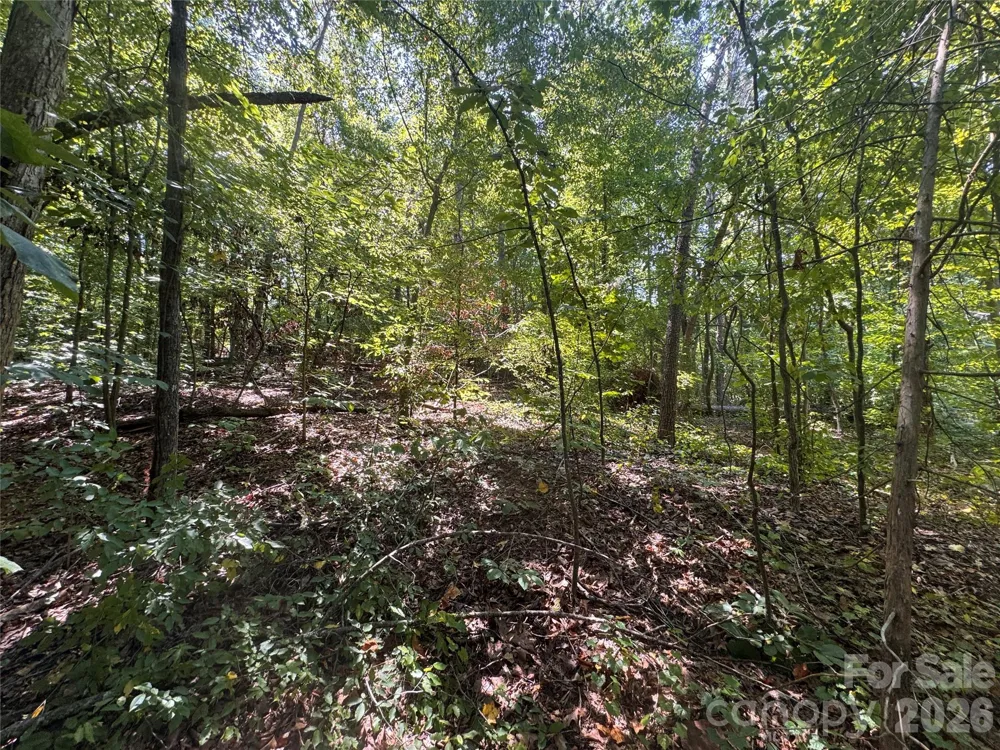 3924 Deer Run Drive NE Conover, NC 28613