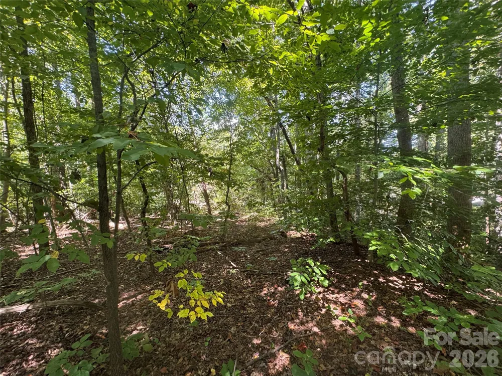 3924 Deer Run Drive NE Conover, NC 28613