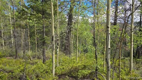 Lot 6269 Shioshita Road