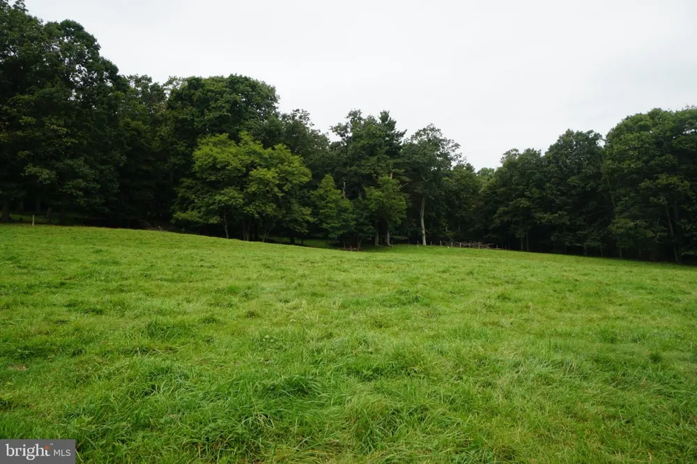 242 NEWMAN LANE Franklin, WV 26807