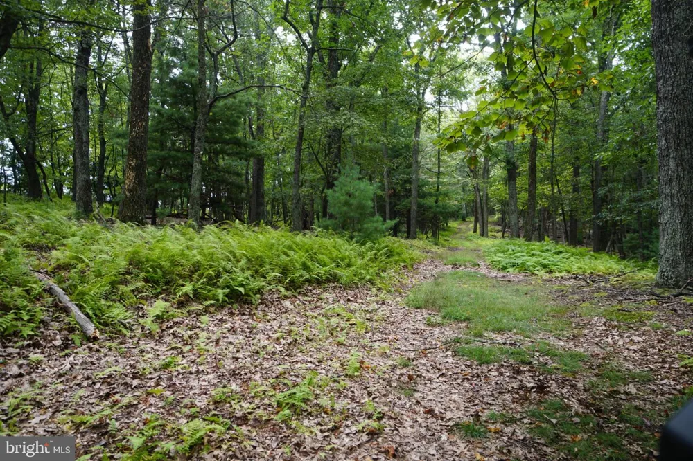 242 NEWMAN LANE Franklin, WV 26807