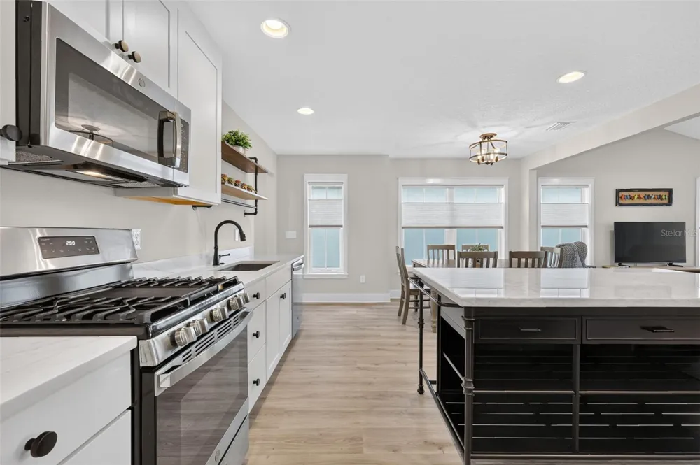 2005 SANTINO AVENUE The Villages, FL 34762