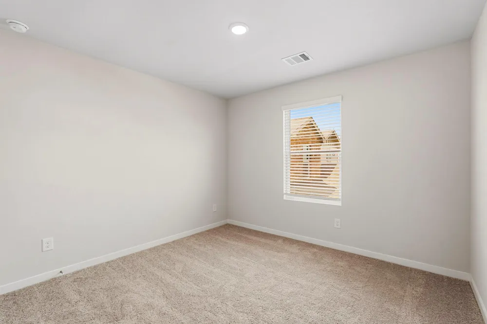 29219 Dandelion Sky Drive Waller, TX 77484