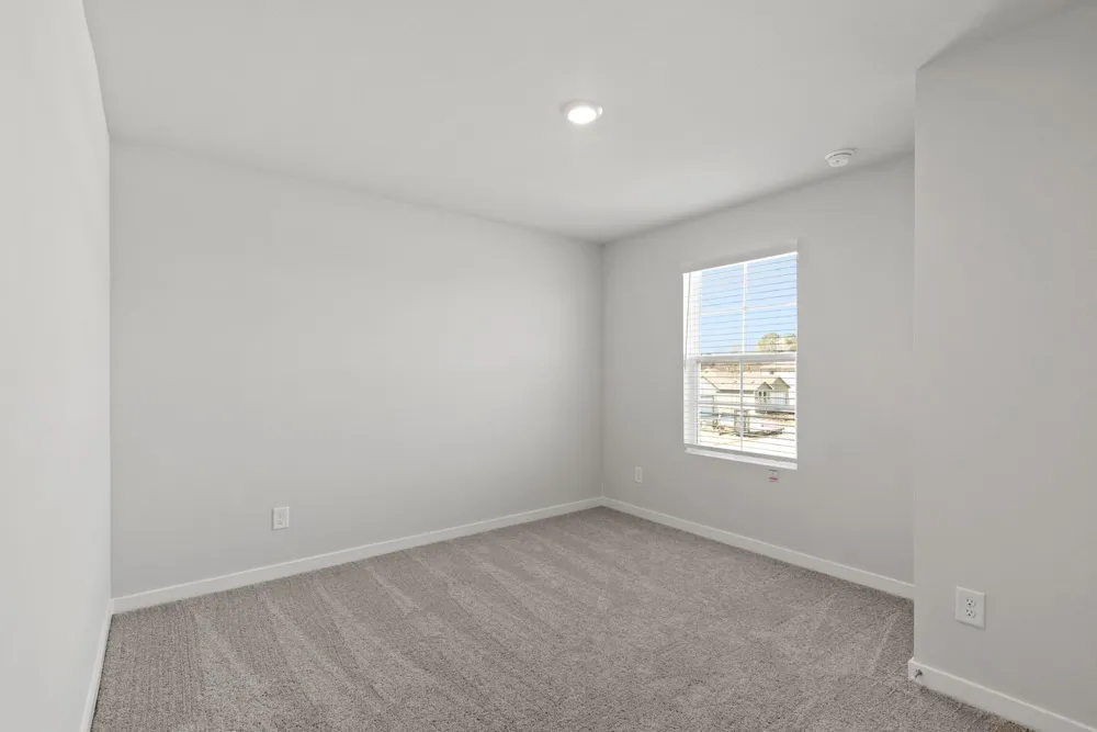29223 Dandelion Sky Drive Waller, TX 77484