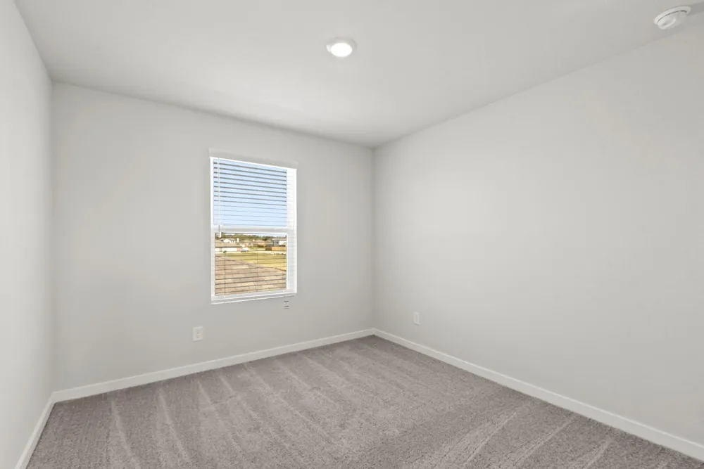 29223 Dandelion Sky Drive Waller, TX 77484