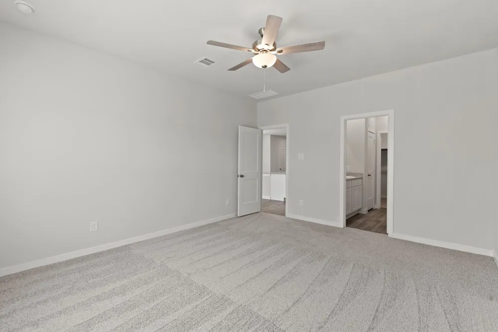 29223 Dandelion Sky Drive Waller, TX 77484