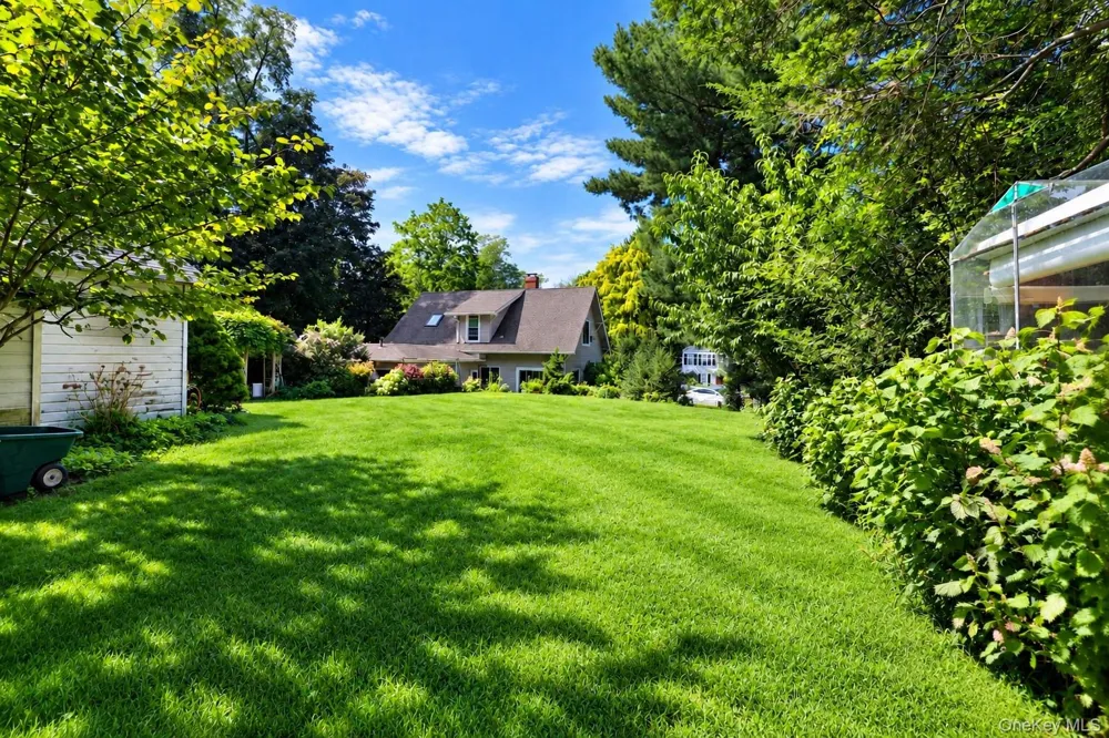 15 Main Street East Setauket, NY 11733