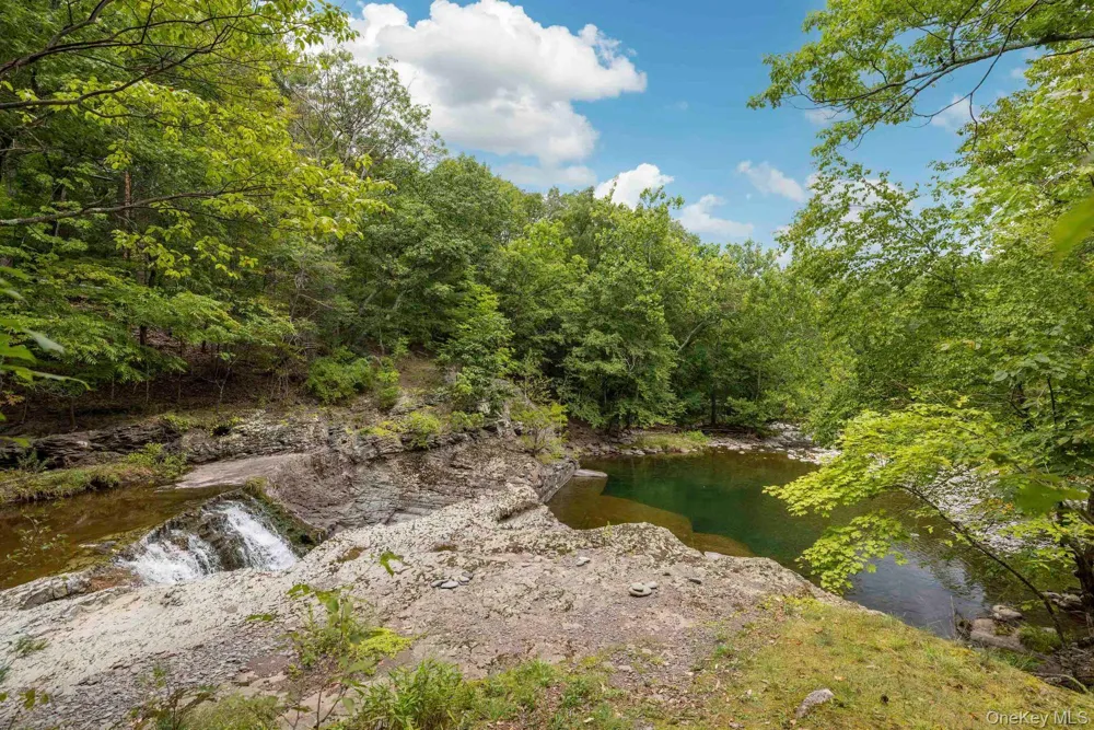 61 Woodland Falls Road Saugerties, NY 12477