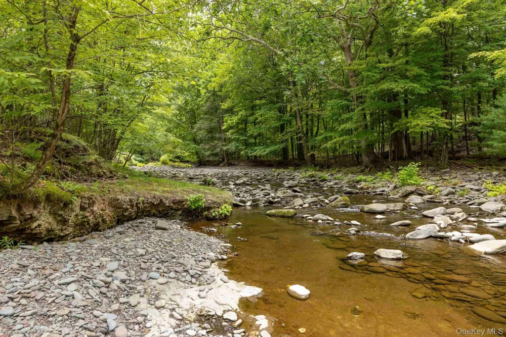 61 Woodland Falls Road Saugerties, NY 12477