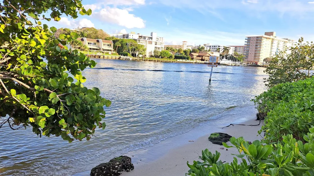 1445 SE 15TH COURT #202 Deerfield Beach, FL 33441