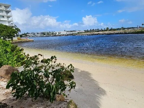 1445 SE 15TH COURT #202 Deerfield Beach, FL 33441