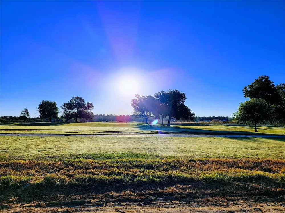 10333 Iris Hope Court Willis, TX 77318