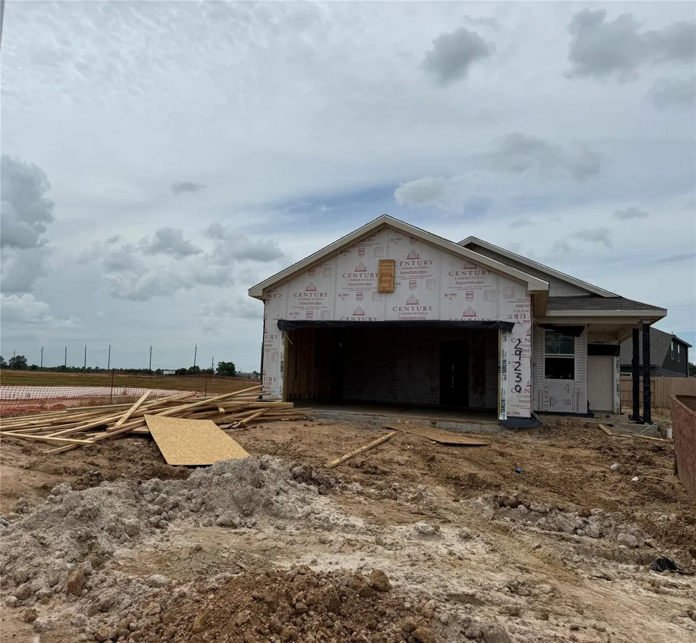29230 Dandelion Sky Drive Waller, TX 77484