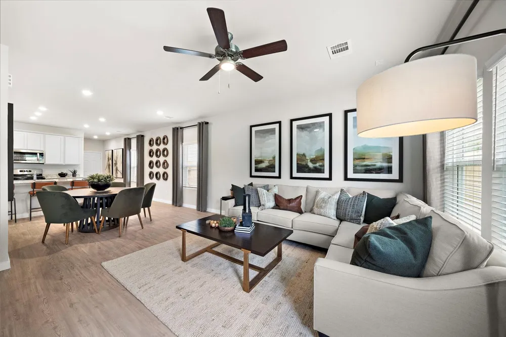 29230 Dandelion Sky Drive Waller, TX 77484