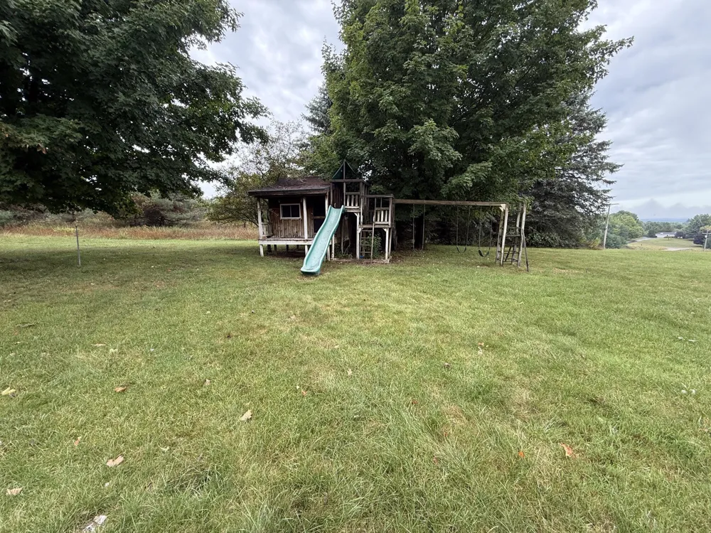 7206 Johnson Court Bear Lake Township, MI 49614