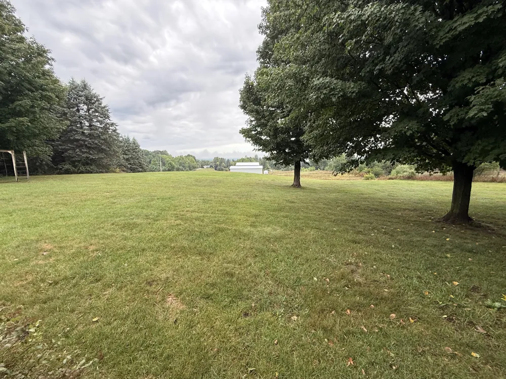 7206 Johnson Court Bear Lake Township, MI 49614