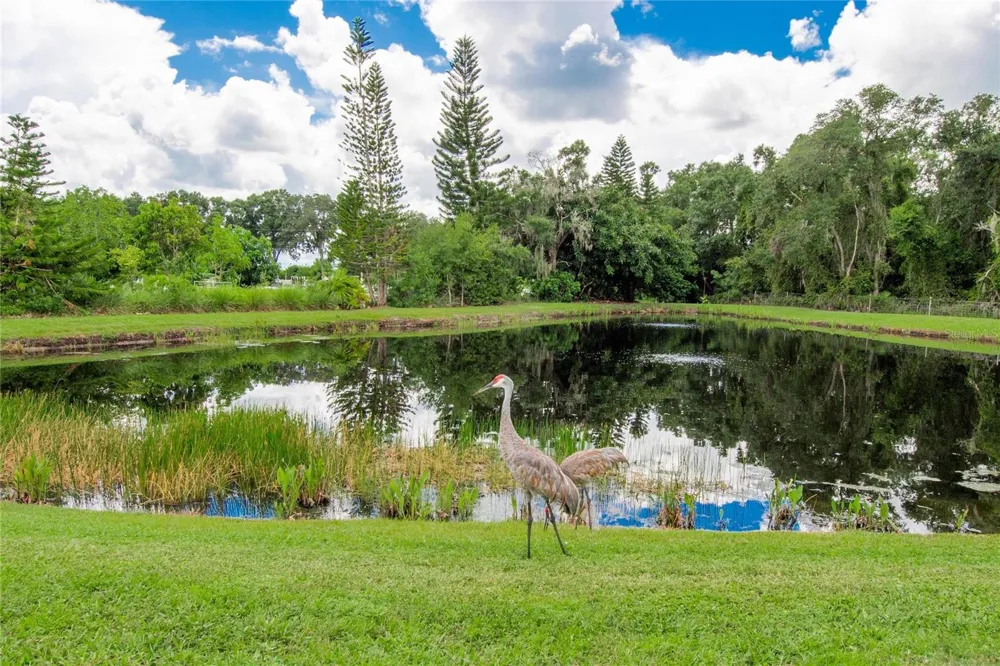 1917 INVERNESS GREENS DRIVE Sun City Center, FL 33573