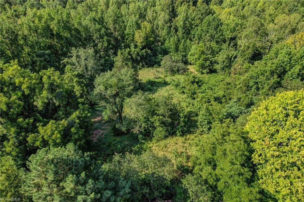 2036 Camp Springs Road Reidsville, NC 27320