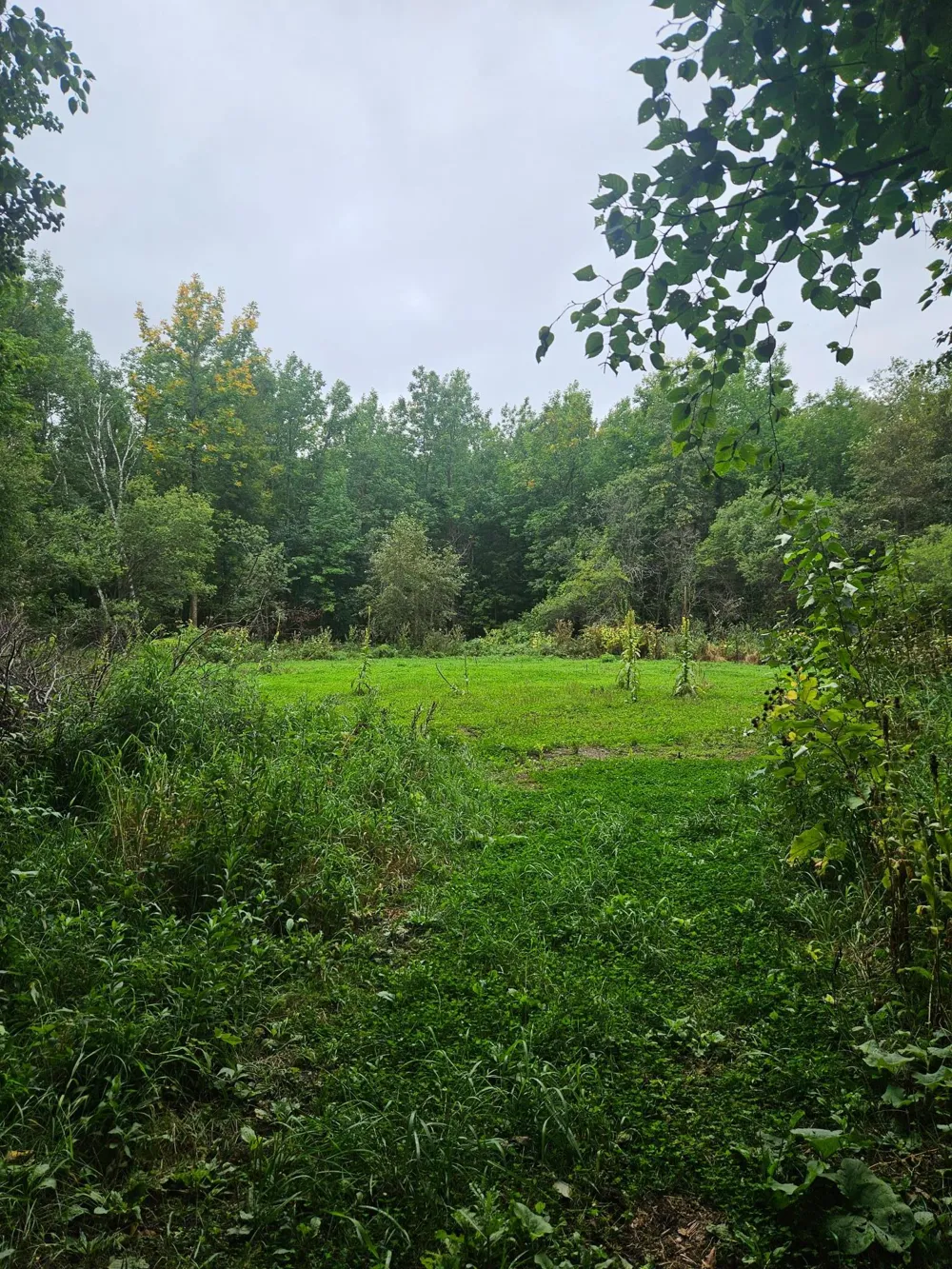 6234 Sandy Shores Drive NW Williams, MN 56686