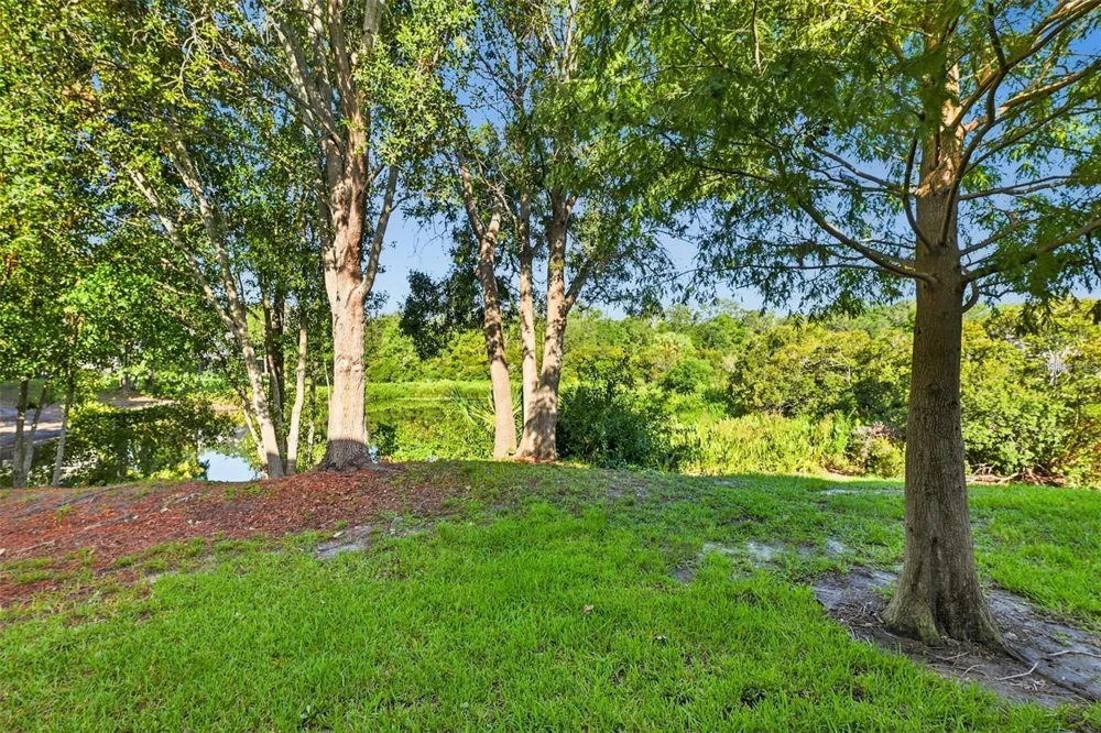 2109 WILD GRAPE PLACE Riverview, FL 33578