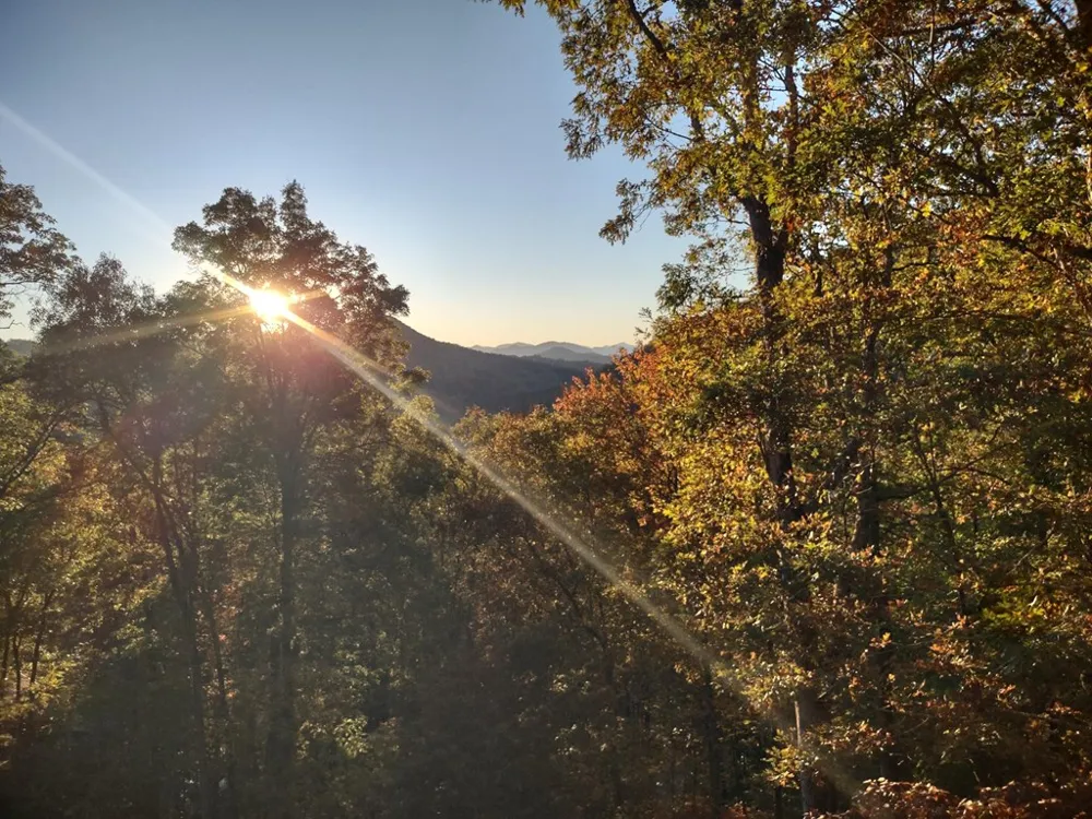 Bartlett Glen Cove Drive Bryson City, NC 28713