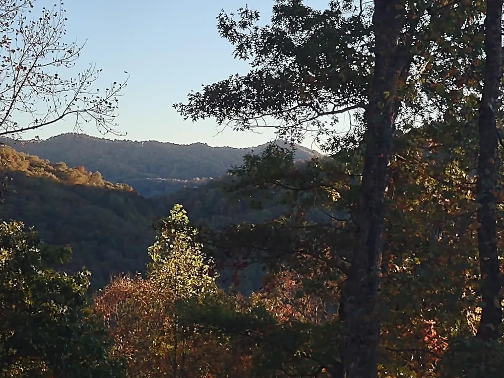 Bartlett Glen Cove Drive Bryson City, NC 28713